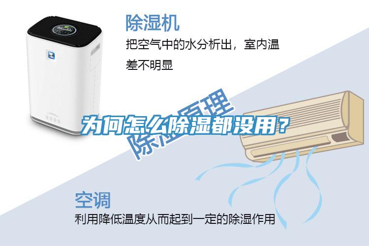 为何怎么除湿都没用？