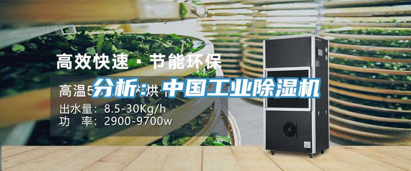 分析：中国工业除湿机