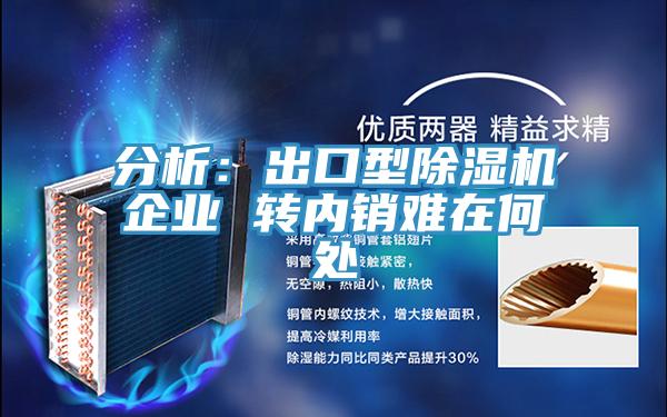 分析：出口型除湿机企业 转内销难在何处