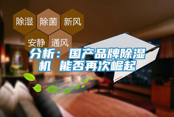 分析：国产品牌除湿机 能否再次崛起