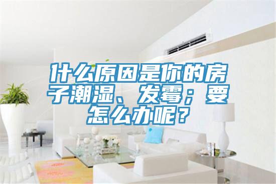 什么原因是你的房子潮湿、发霉；要怎么办呢？