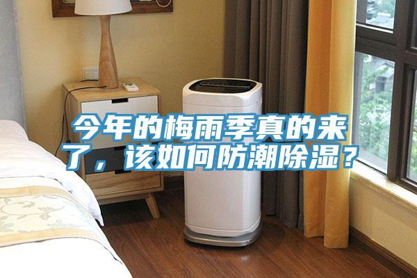 今年的梅雨季真的来了，该如何防潮除湿？