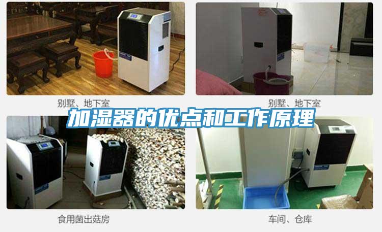 加湿器的优点和工作原理