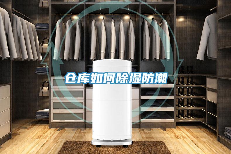 仓库如何除湿防潮