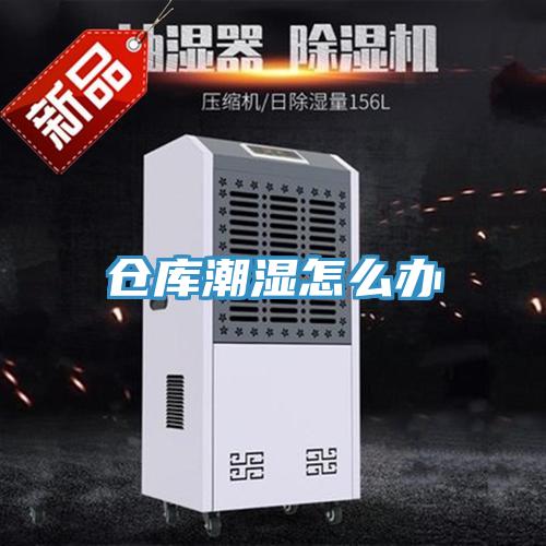 仓库潮湿怎么办