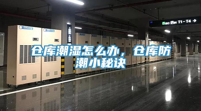 仓库潮湿怎么办，仓库防潮小秘诀