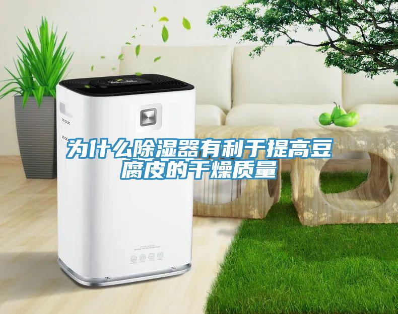 为什么除湿器有利于提高豆腐皮的干燥质量