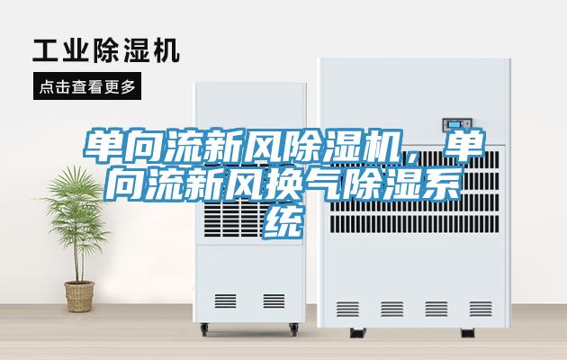单向流新风除湿机，单向流新风换气除湿系统