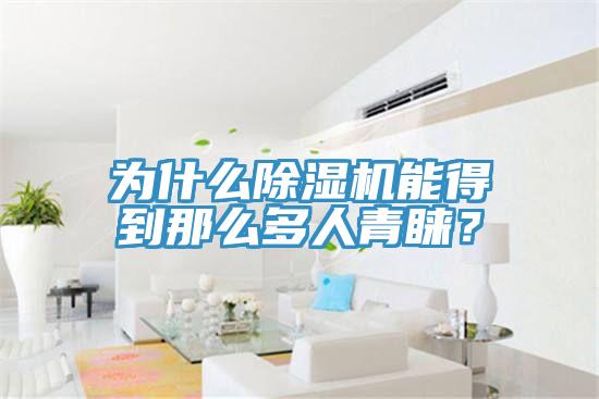 为什么除湿机能得到那么多人青睐？