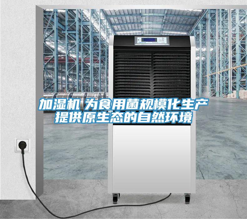 加湿机　为食用菌规模化生产提供原生态的自然环境
