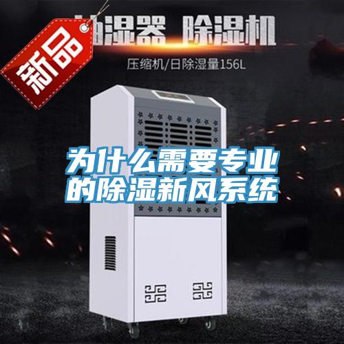 为什么需要专业的除湿新风系统