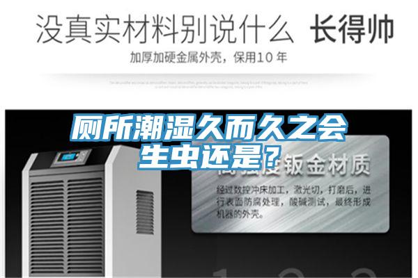 厕所潮湿久而久之会生虫还是？