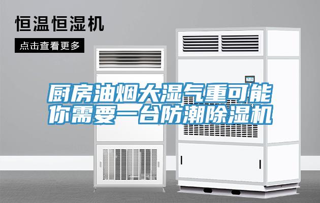 厨房油烟大湿气重可能你需要一台防潮除湿机