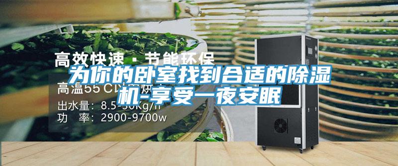 为你的卧室找到合适的除湿机-享受一夜安眠