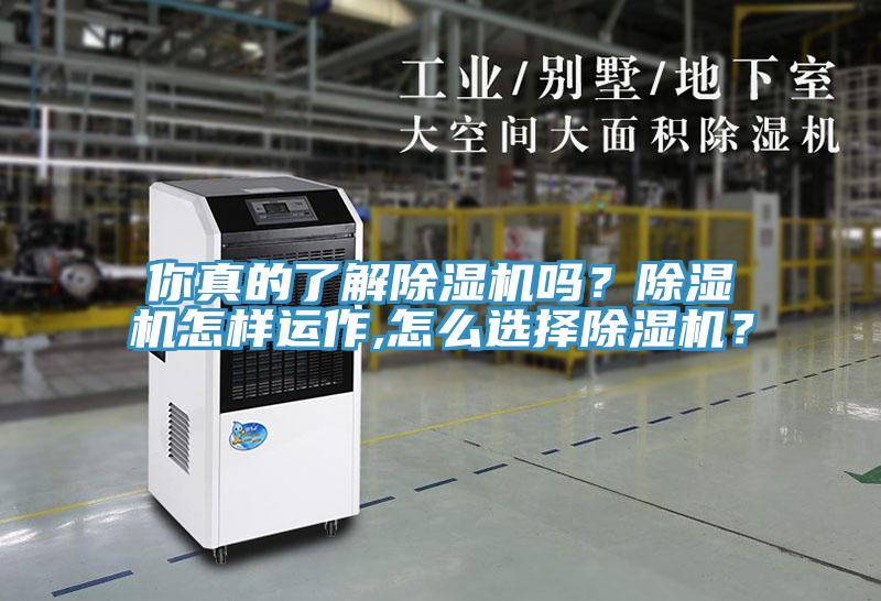 你真的了解除湿机吗？除湿机怎样运作,怎么选择除湿机？