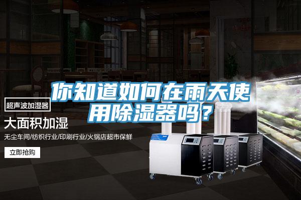 你知道如何在雨天使用除湿器吗？