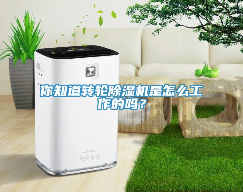你知道转轮除湿机是怎么工作的吗？