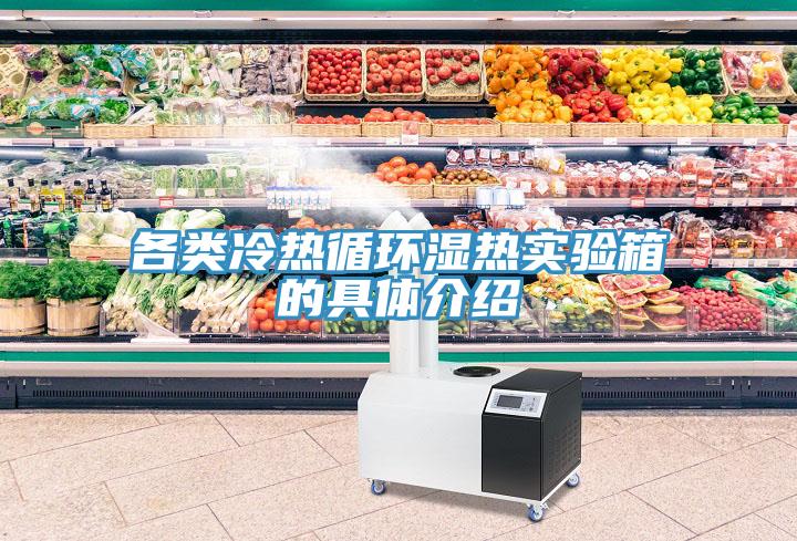 各类冷热循环湿热实验箱的具体介绍