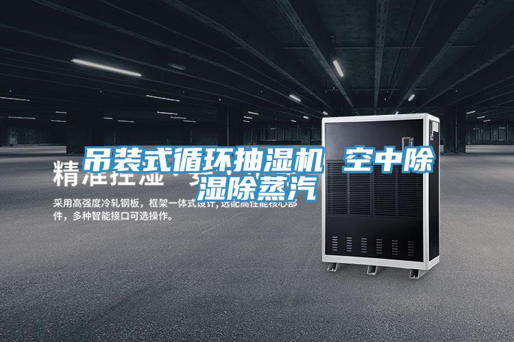 吊装式循环抽湿机 空中除湿除蒸汽