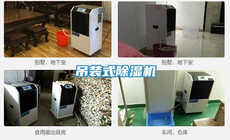 吊装式除湿机