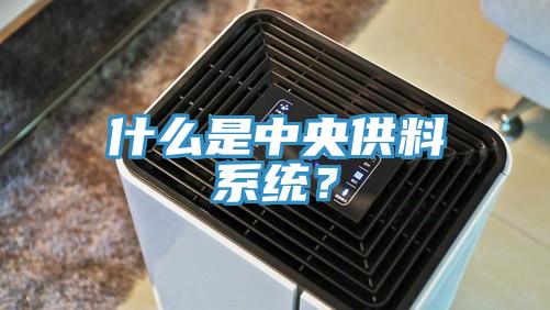 什么是中央供料系统？