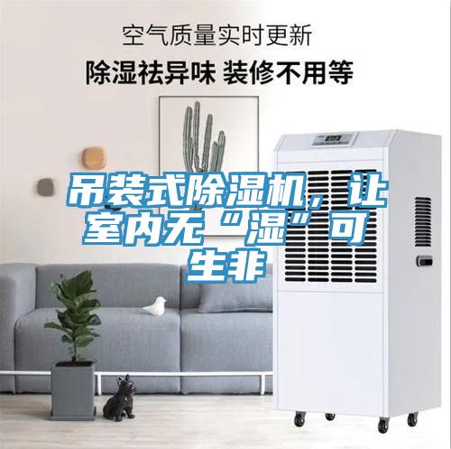 吊装式除湿机，让室内无“湿”可生非