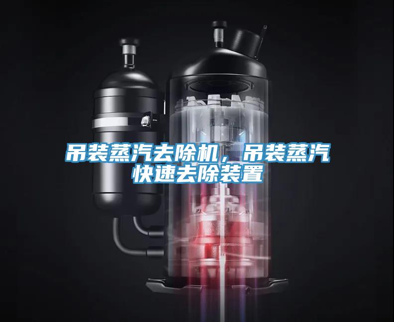 吊装蒸汽去除机，吊装蒸汽快速去除装置
