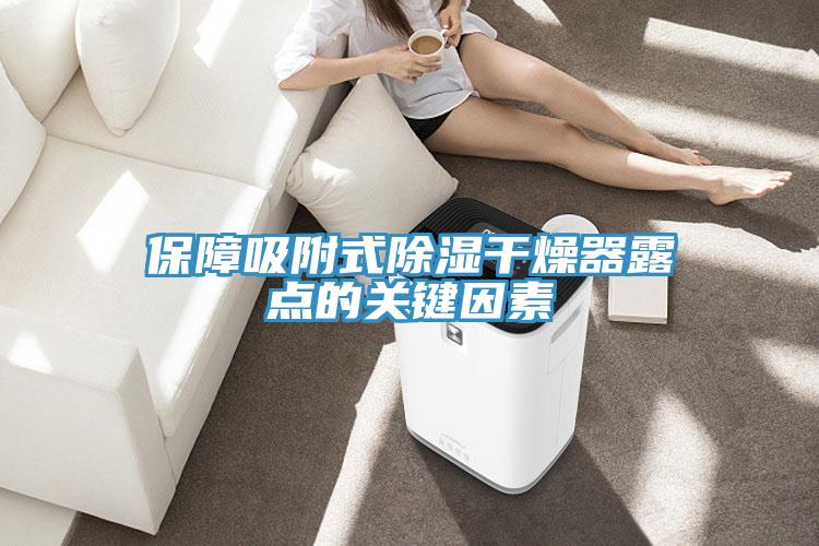 保障吸附式除湿干燥器露点的关键因素