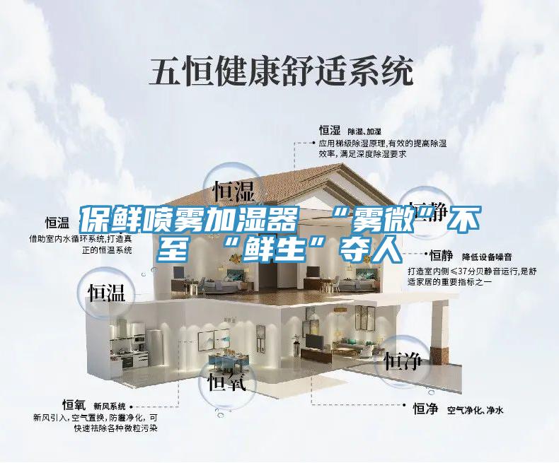 保鲜喷雾加湿器 “雾微”不至 “鲜生”夺人