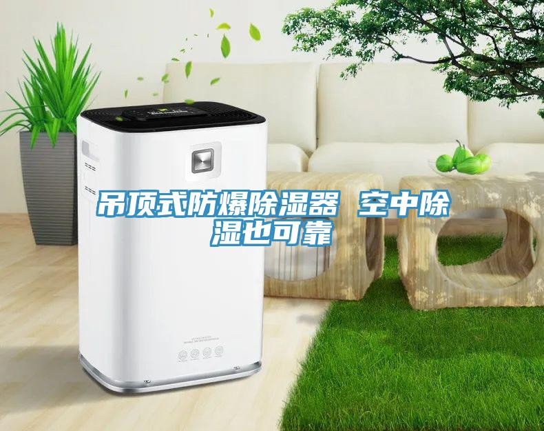 吊顶式防爆除湿器 空中除湿也可靠