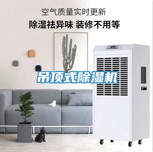 吊顶式除湿机