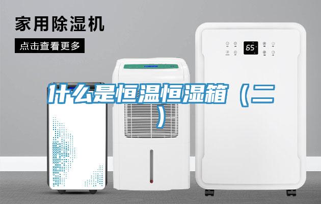 什么是恒温恒湿箱（二)