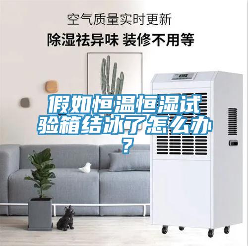 假如恒温恒湿试验箱结冰了怎么办？