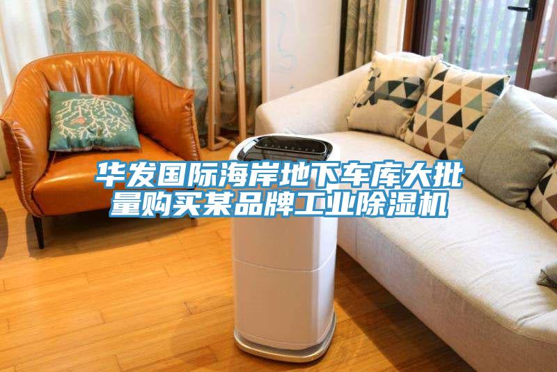 华发国际海岸地下车库大批量购买某品牌工业除湿机