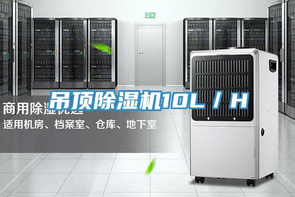 吊顶除湿机10L／H