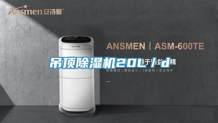 吊顶除湿机20L／d