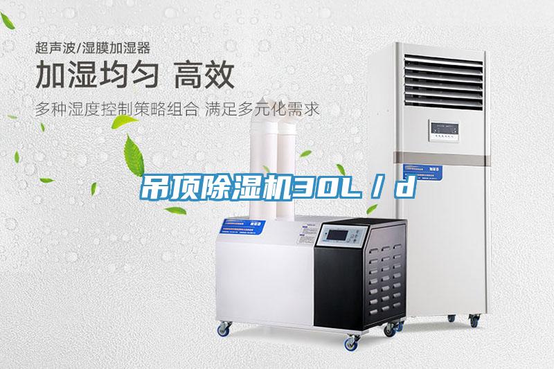 吊顶除湿机30L／d