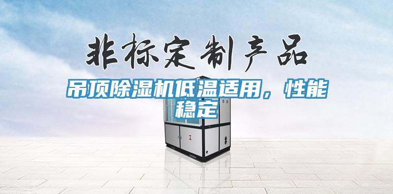 吊顶除湿机低温适用，性能稳定