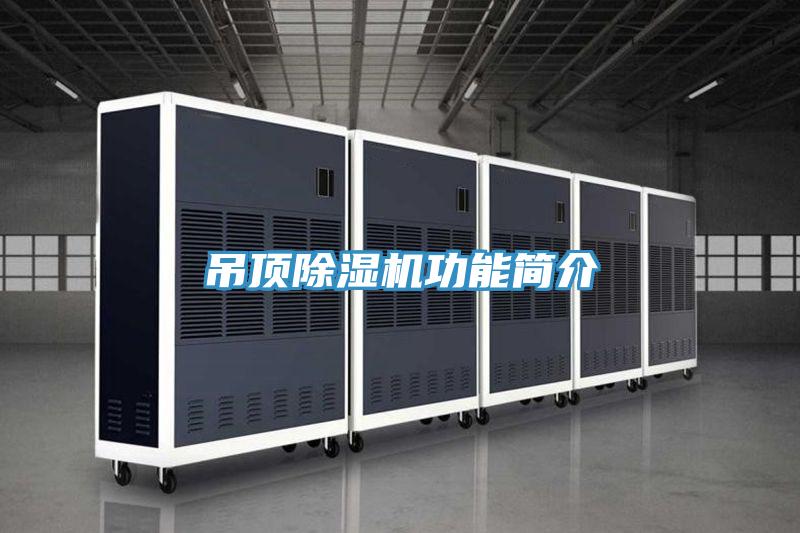 吊顶除湿机功能简介