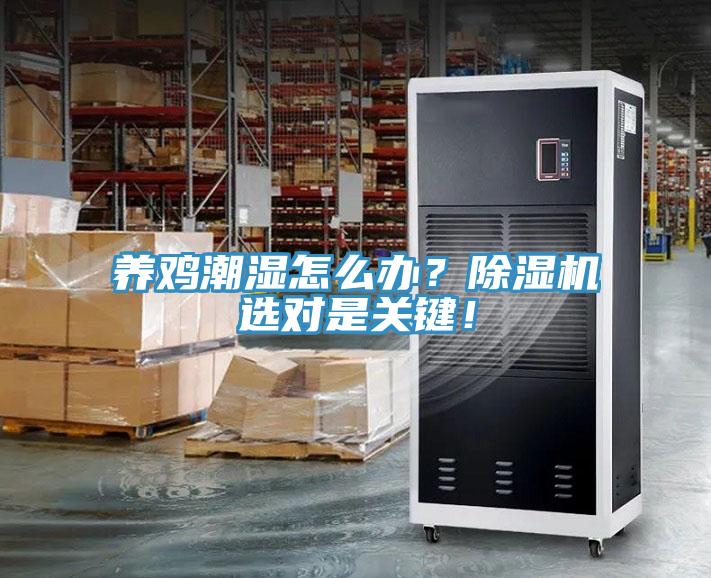 养鸡潮湿怎么办？除湿机选对是关键！