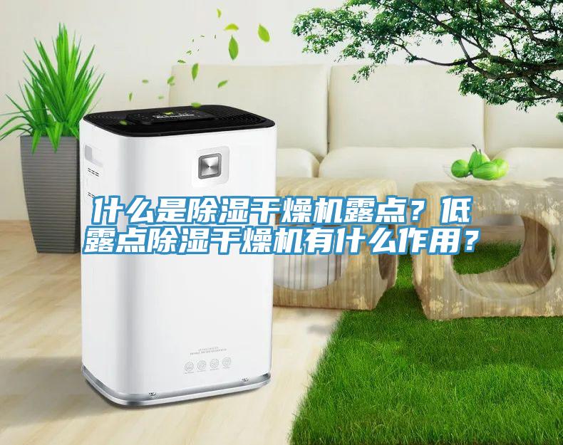 什么是除湿干燥机露点？低露点除湿干燥机有什么作用？