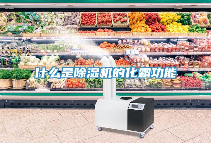 什么是除湿机的化霜功能