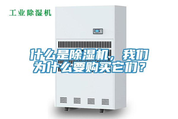 什么是除湿机，我们为什么要购买它们？