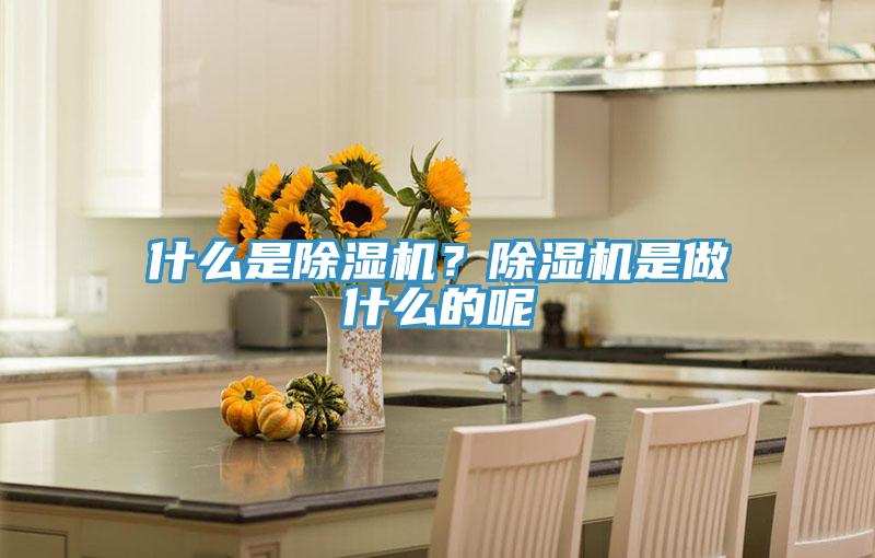 什么是除湿机？除湿机是做什么的呢