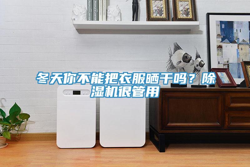 冬天你不能把衣服晒干吗？除湿机很管用
