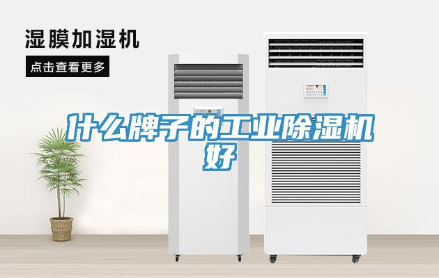 什么牌子的工业除湿机好