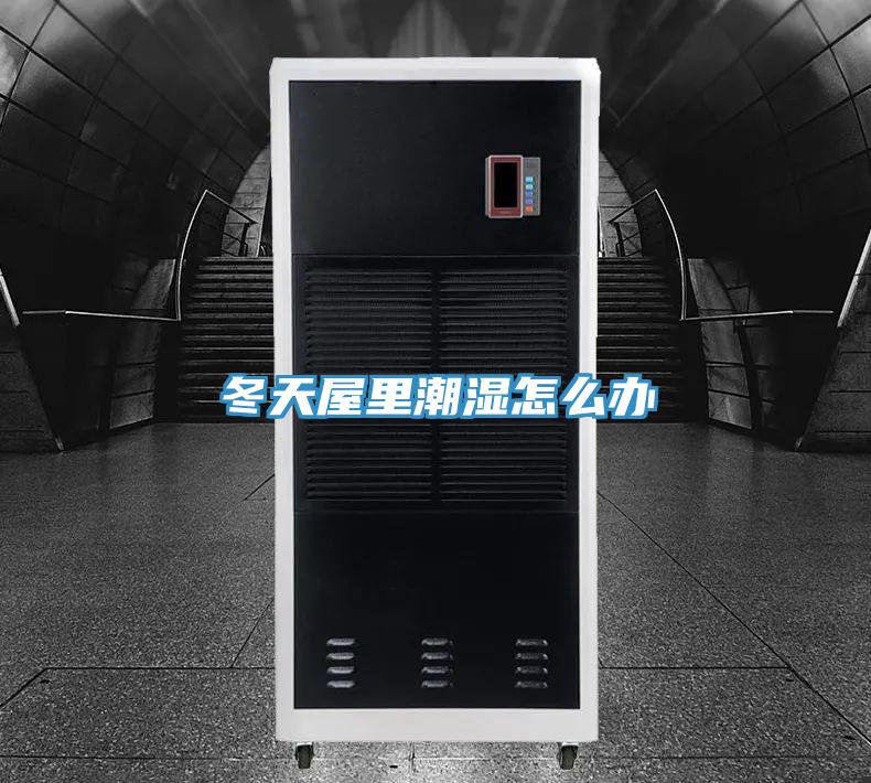 冬天屋里潮湿怎么办