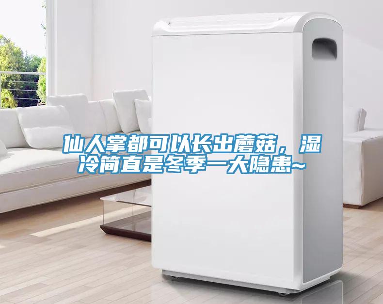 仙人掌都可以长出蘑菇，湿冷简直是冬季一大隐患~