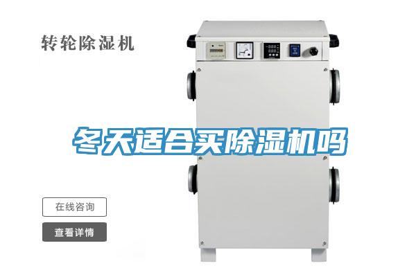 冬天适合买除湿机吗
