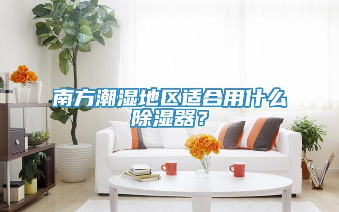 南方潮湿地区适合用什么除湿器?